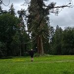 Nathan Eaves - @nathaneaves05 - Instagram