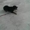 Nathan Eckardt - @nathan.eckardt - TikTok