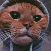 nathaneckard - @nathaneckard - TikTok