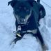 Nathan Edgecomb - Facebook