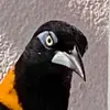 Nate - @nathanlegger - TikTok