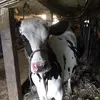 Nathan Ehrlich969 - @nathanehrlich969 - TikTok