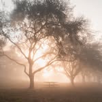 Nathan Ehrlich - @nathane.photo - Instagram