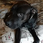 Nathan Elwell - @nathan.elwell.92 - Instagram