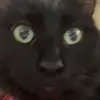 Nathan  Embrey - @embrey.10 - TikTok