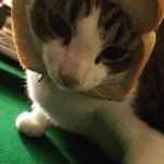 Nathan Enos - @potatonater101 - Instagram