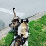 Nathan Estes - @nathan.estes.3705 - Instagram