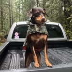 Nathan Estes - @wayne_kerr64 - Instagram