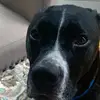 Lame ar - @nathanial.beverly - TikTok