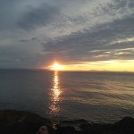 Nathan Falconer - @poopyunicorn97 - Instagram