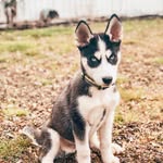 Nathan Farmer - @nathan.farmer - Instagram
