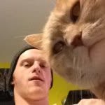 Nate Farrar - @nathanfarrar56 - Instagram