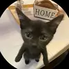 Nathan Farrell - @nathan.farrell5 - TikTok