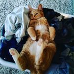 Nathan Ferrell - @nathan_ferrell05 - Instagram