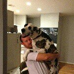 Nathan Ferrell - @srt8n8 - Instagram