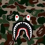 Nate finkel - @nathanfinkelfanpage - Instagram