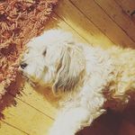 Nathan Finn - @nathan_finn2021 - Instagram