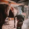 nate the farrier - @nathanfontenot395 - TikTok