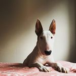 Nathan Frazer - @nathanfrazer40 - Instagram