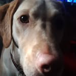 nathan - @nathanfreund__05964777 - Instagram