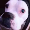 Nathan Friedrich - @nathanfriedrich_1 - TikTok