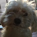 Derek Nathan Gallegos - @dereknathan00 - Instagram