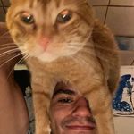 Nathan Gallegos - @nathan.gallegos1 - Instagram