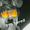 Nathan Gallegos - @nathan_gallegos - TikTok