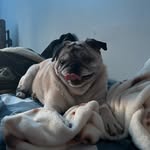 nate gally - @nathangallinger - Instagram