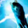 NATHAN GALLIMORE - @nathan.gallimore - TikTok