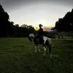 Nathan Gallo - @nathan_lealgallo - Instagram