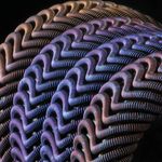 Nathan Garber - @jewbster - Instagram