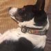 Nathan Ganfield - Facebook