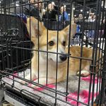 Nathan garman - @garmannathan9 - Instagram