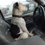 Nathaniel Garriott - @nathanielgarriott285 - Instagram