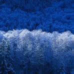 Nathan Gaul - Facebook