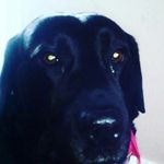 Nathan Gibbs - @nathan_gibbs_ - Instagram