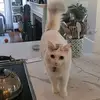 nathan gibbs - @nathan.gibbs2 - TikTok