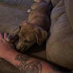 Nathan Gilchrist - @_nathan._.gilchrist_ - Instagram