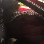 Your Friend - @nathan_glynn7 - Instagram