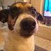 Nathan Goetz - Facebook