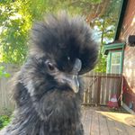 natg - @nathan_gorman_1 - Instagram