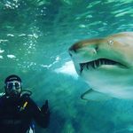 Nathan Grainger - @dudes_dad29 - Instagram