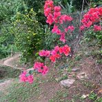 Nathan Granger - Facebook