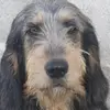 Nathan Granger du36 - @herve.granger6 - TikTok