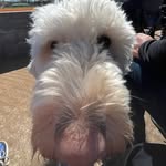 Nathan Greenwald - @nathan.g1723 - Instagram