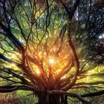 Nathan Greenwell - Facebook