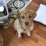 Nathan Grimm - @nategrimm3031 - Instagram