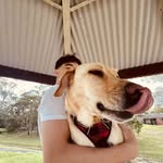 Nathan - @nathann_grosser - Instagram