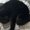 Nathan Groves - @nathan.groves8 - TikTok